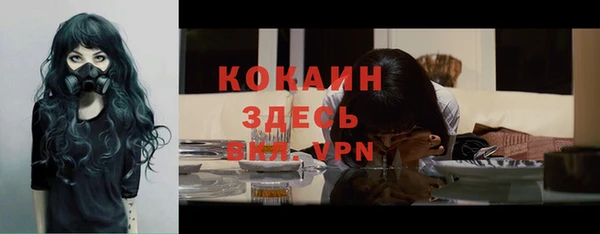 амф Слюдянка