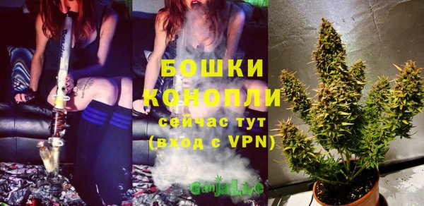 амф Слюдянка