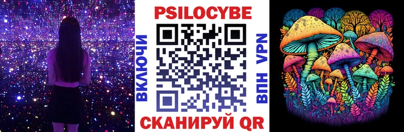 Галлюциногенные грибы GOLDEN TEACHER где можно купить Судогда