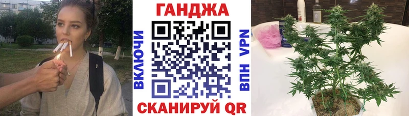 ОМГ ОМГ как зайти  Судогда  Шишки марихуана LSD WEED 